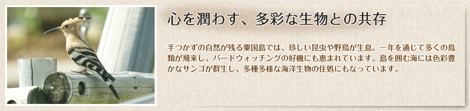 心を潤わす、多彩な生物との共存