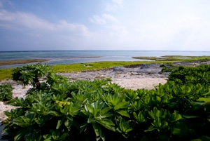 集落から見える海