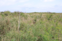 草戸ウガン周辺遺物散布地