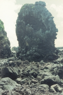 ヤマトゥガー