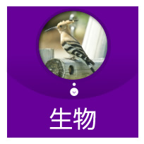 生物　野鳥・海洋生物・昆虫・動物